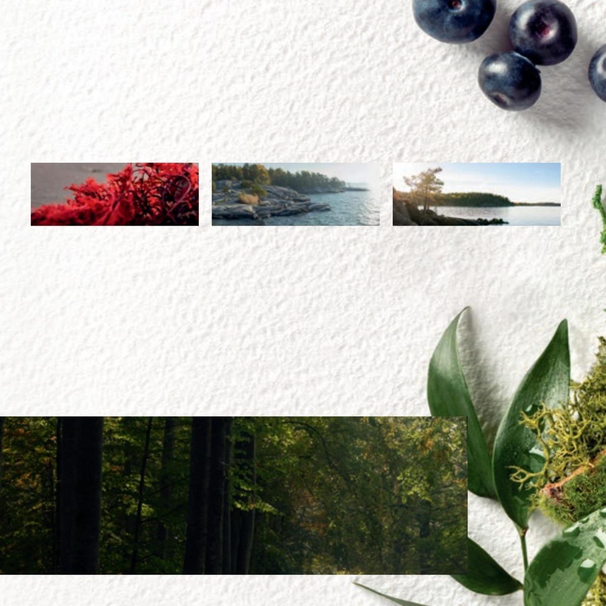 Gazetka promocyjna Oriflame str. 74